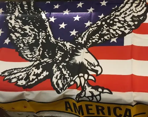 zz FLAG 3' x 5' Murica